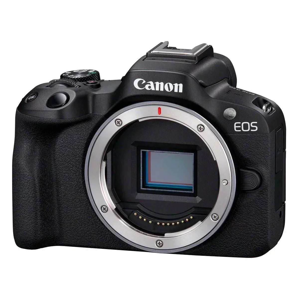 Canon EOS R50 black + Rf-s 18-45 Is Stm + Rf-s 55-210mm Is Stm